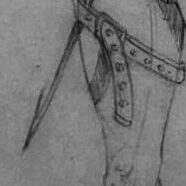 No photo description available.